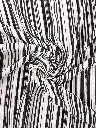 20261015_104014.webp